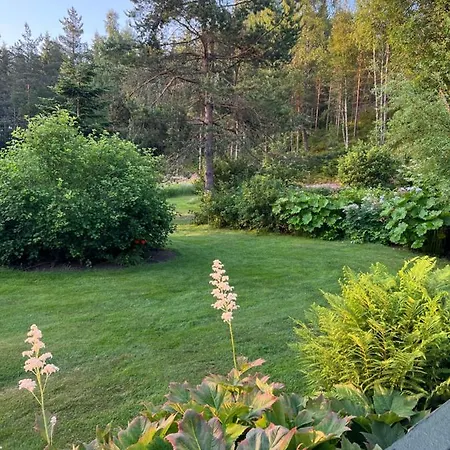 Ferienwohnung Oggevatn Birkenes Exterior foto