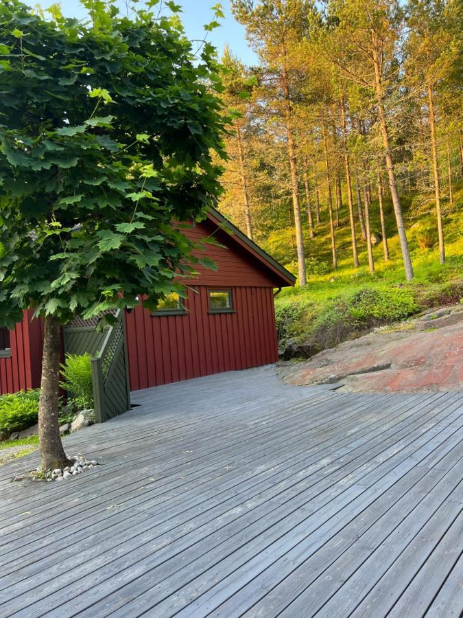 Oggevatn * Birkenes