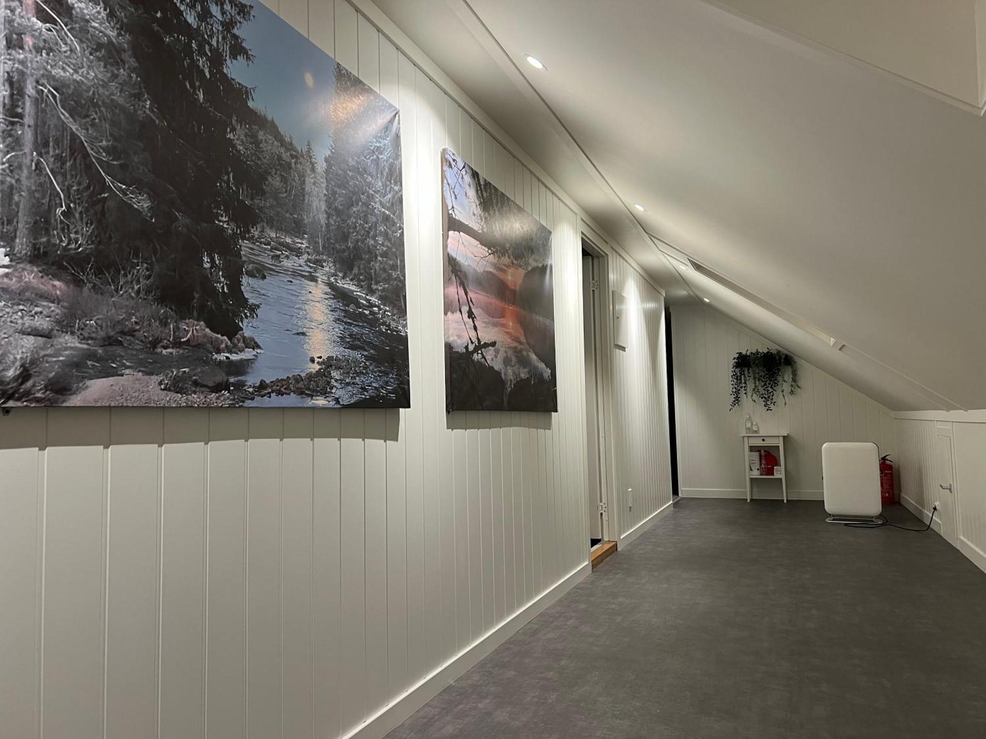 Oggevatn Apartment